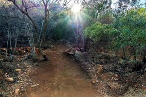 #AlimamaSpaces The Chelseas Thaba Echo