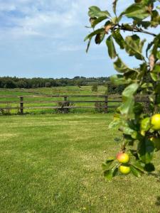 Cottage near Glasson village