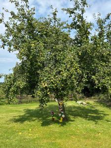 Cottage near Glasson village