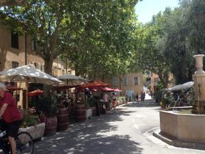 Villas Villa in Flayosc near Gorges du Verdon : photos des chambres