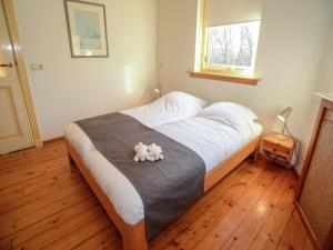 Luxury villa by the dunes