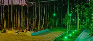 3 Seasons Homestay Chikmagalur