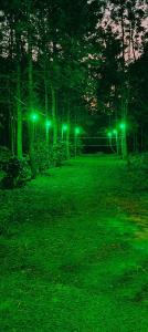 3 Seasons Homestay Chikmagalur