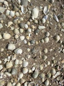 Styrsö Boende och Havsbad