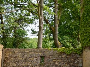 Maisons de vacances Cottage in Wierre-Effroy near Forest : photos des chambres