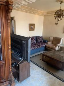 شقة فندقيه كورنيش النيل