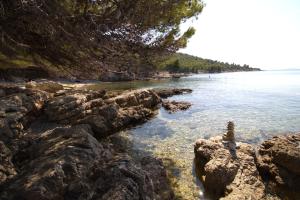 Robinzonska kuća Doca Murter