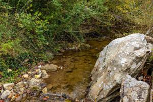 Baskins Creek Retreat by American Patriot Getaways