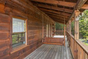 Bear Country by American Patriot Getaways