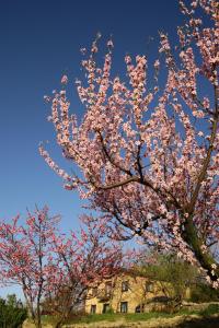 Top Floor in a Farmhouse in Efil, Çanakkale