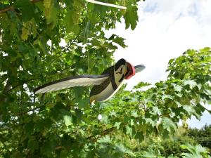 Maisons de vacances Holiday Home in Quineville near Beach : photos des chambres