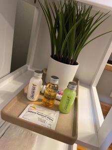 Jai Hollow Tiny Home Cottage