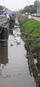 Bateaux Peniche a Bethune : photos des chambres