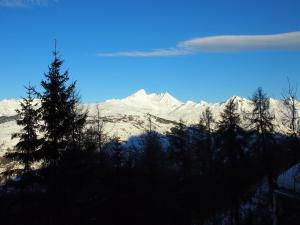 Chalet in Vallandry near Paradiski Ski Area