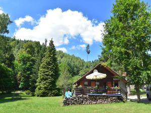 Chalets Chalet in Donon with Hiking Trails : photos des chambres