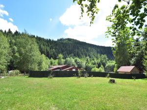 Chalets Chalet in Donon with Hiking Trails : photos des chambres