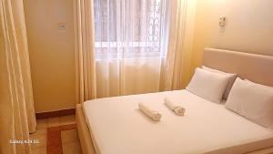 Sheer-Relax, Explore, Repeat