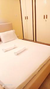 Sheer-Relax, Explore, Repeat