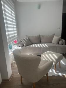 Kraljevi Cardaci Olja