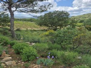 Maisons de vacances Holiday Home in Lorgues with Pool : photos des chambres