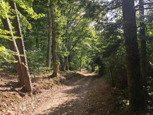 Maisons de vacances Holiday Home in Limousin near Forest : photos des chambres