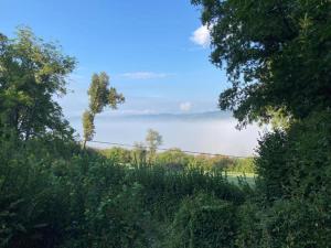 Maisons de vacances Holiday Home in Limousin near Forest : photos des chambres