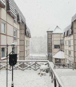 Kraljevi Cardaci Olja