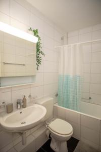 Central Studio Apartment with free BaselCard - Munch