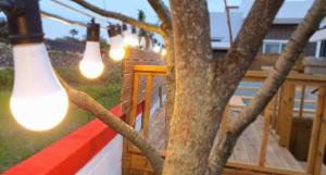 Jeju Private House Poolvilla and Free jaccuzi