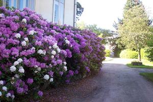 Maisons de vacances Mansion in Vecoux with Pool and Garden : photos des chambres