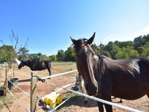 Maisons de vacances Tranquil Escape in Dordogne : photos des chambres