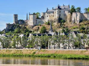 Maisons de vacances Mansion in Thizay with Private Pool : photos des chambres
