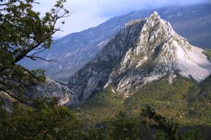 Appartements Studio au Verdon ideal pour randonnee et detente : photos des chambres