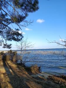Maisons de vacances Maison de ville mitoyenne confortable et lumineuse - Hourtin centre : photos des chambres