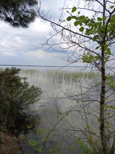 Maisons de vacances Maison de ville mitoyenne confortable et lumineuse - Hourtin centre : photos des chambres