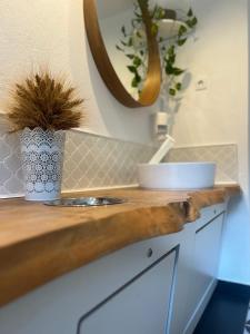 Bonair Tipi Village I Glamping