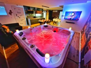 LOFT & SPA-6 Pers-Jacuzzi-Parking-Jardin-Clim-Colmar