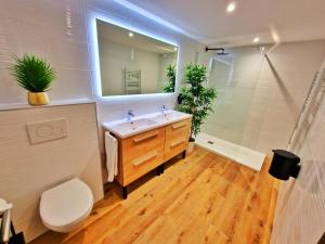 LOFT & SPA-6 Pers-Jacuzzi-Parking-Jardin-Clim-Colmar