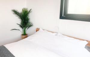 Jeju Private House Poolvilla and Free jaccuzi