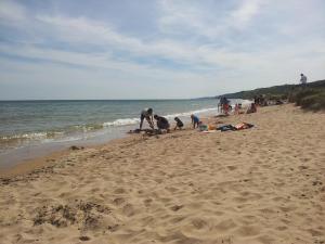 Maisons de vacances Maison avec jardin, baby foot, flipper, table de ping pong, a 1km a pied Omaha beach et pres Port en Bessin : photos des chambres