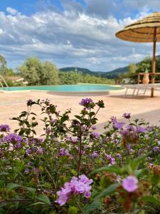 B&B Blue Relax - Turismo rurale img5