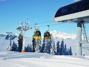 Chalet in Mühlbach near Hochkönig Ski Area