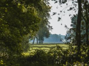 Maisons de vacances Breton Escape in Querrien : photos des chambres