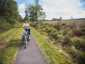 Maisons de vacances Breton Escape in Querrien : photos des chambres