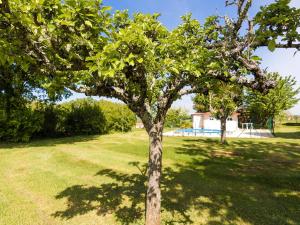 Maisons de vacances Bungalow near Dordogne with Pool and BBQ : photos des chambres