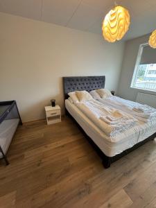 Geislagata 10 single bedroom apartment