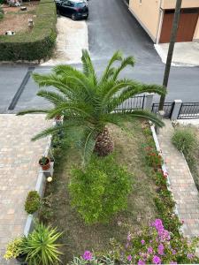 Apartman Marković Sea View