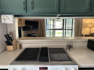 Copper Junction, Copper Mountain Unit 311
