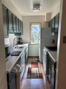 Copper Junction, Copper Mountain Unit 311