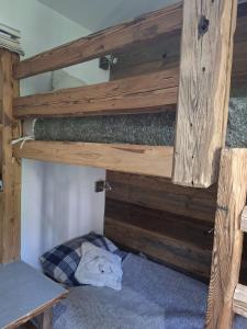 Appartements Appartment de montagne luxueux Isola 2000 : photos des chambres